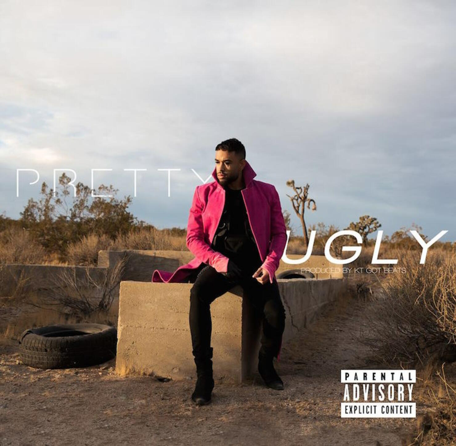 Rylic Alexander - 'PrettyUgly'