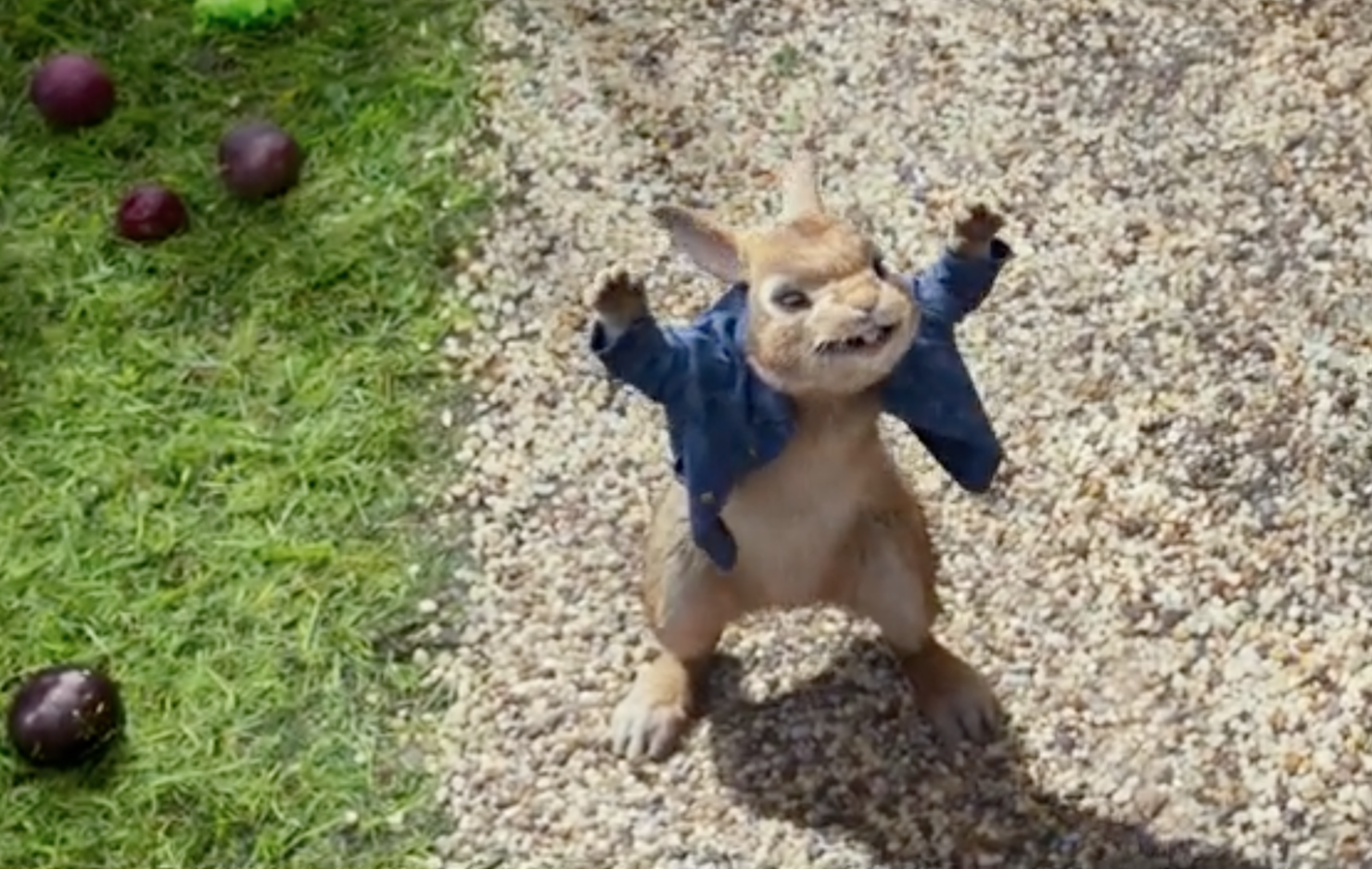 Disturbing Scene In New 'Peter Rabbit' Movie Has Parents Upset