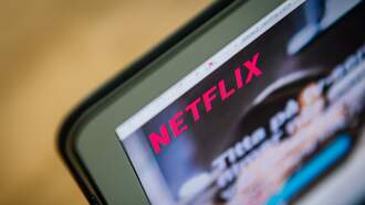 Best Movies to Stream on Netflix For Valentine's Day Singles