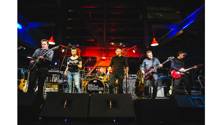 Performances by Brian DiJulio and the Love Jacks, The Groove Surfers, and Spike and the Impalers