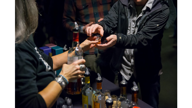 Performances by Brian DiJulio and the Love Jacks, The Groove Surfers, and Spike and the Impalers