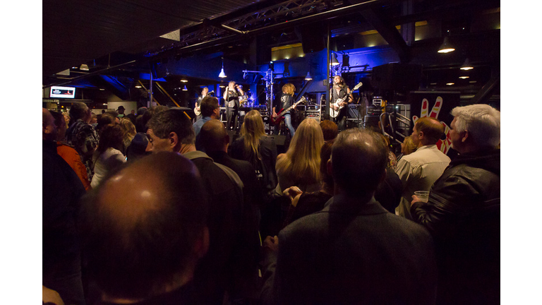 Performances by Brian DiJulio and the Love Jacks, The Groove Surfers, and Spike and the Impalers