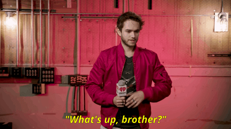 Zedd