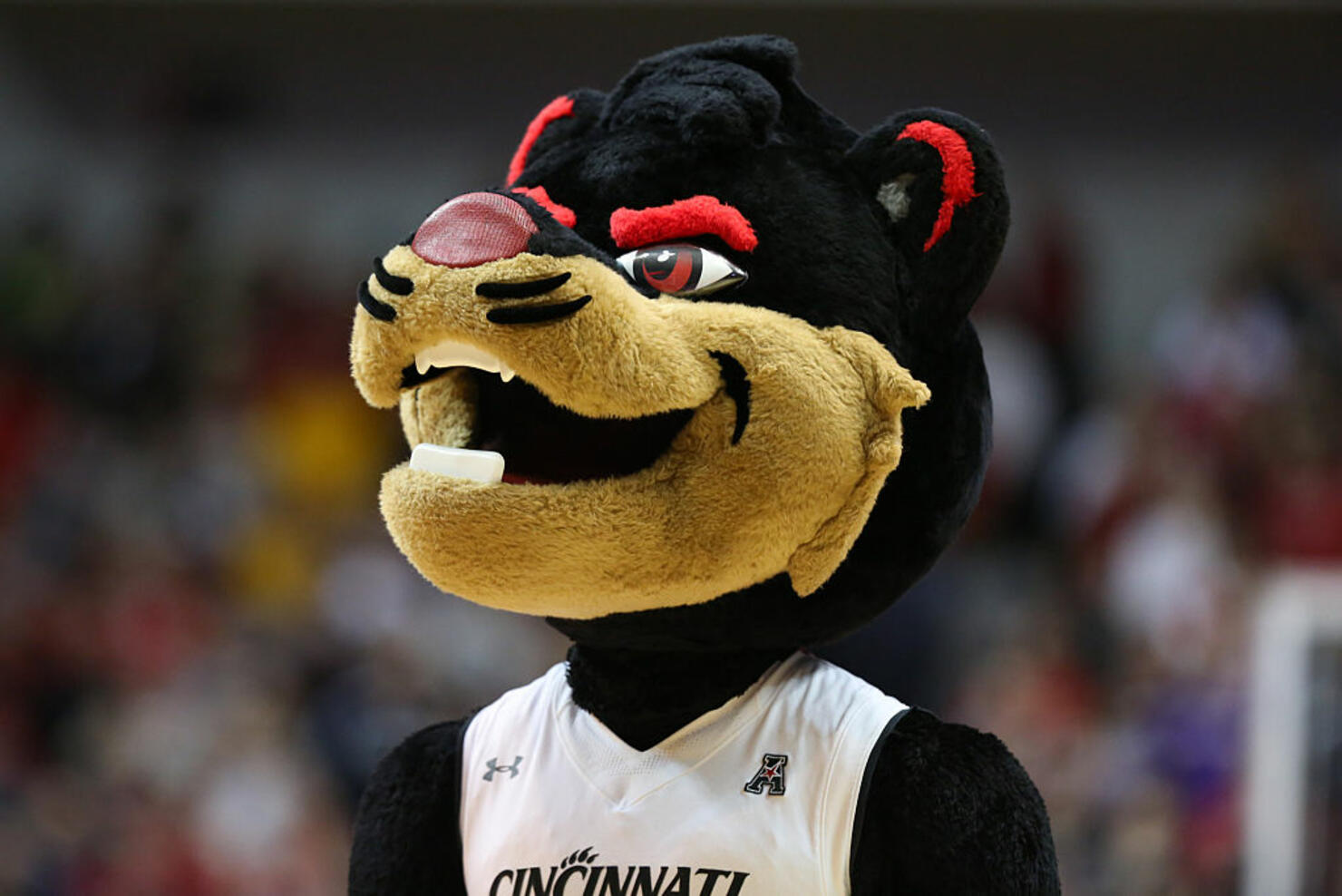 March Madness: Mascot Showdowns Predict The Winner | iHeart