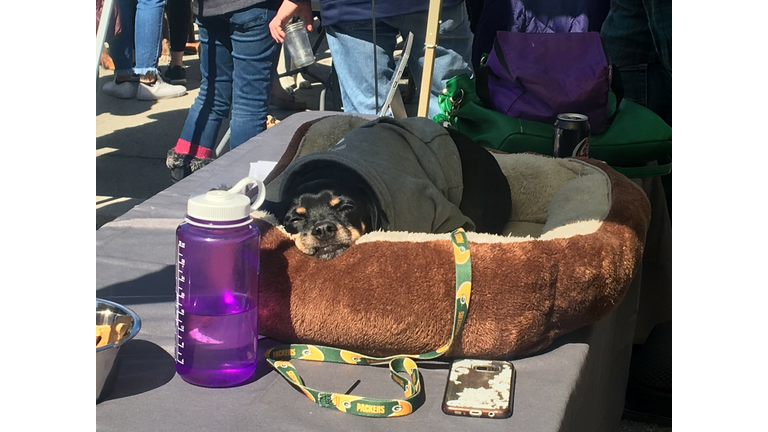 Pints for Pups 3/18/18