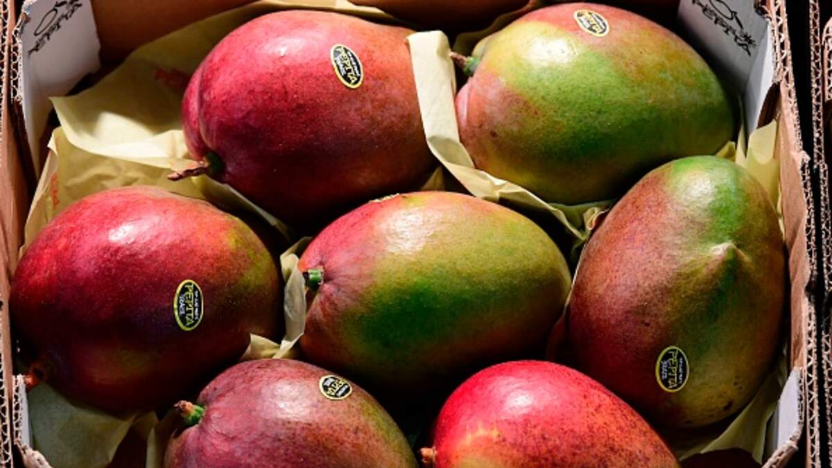 These are the Fruits that Have the Most Sugar in Them 103.7 FM 80s