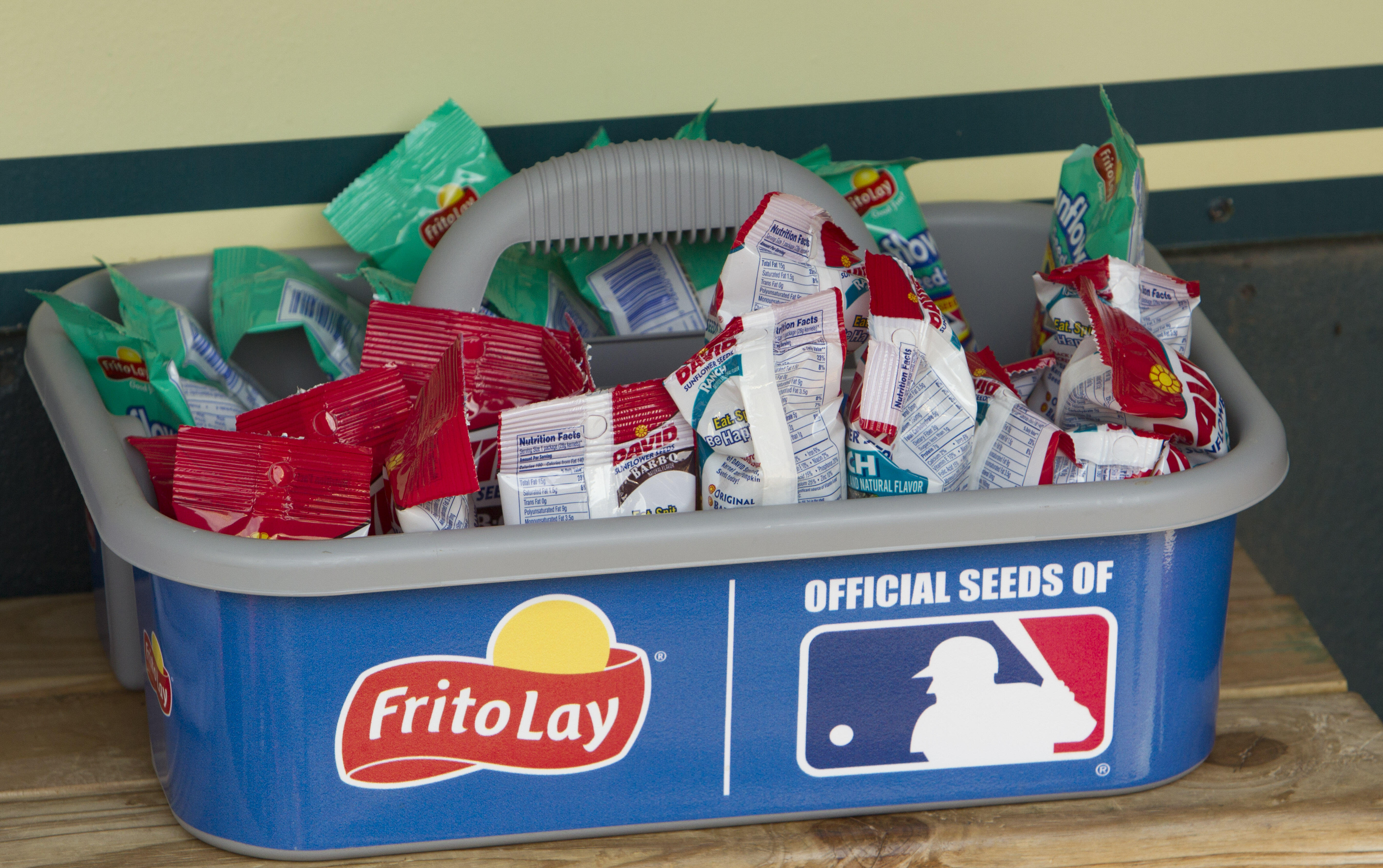 The Sunflower Seed Debate: Emily VS Thor - Thumbnail Image