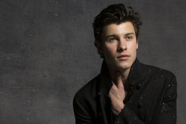 Shawn Mendes Shares Vulnerable New Song In My Blood - 