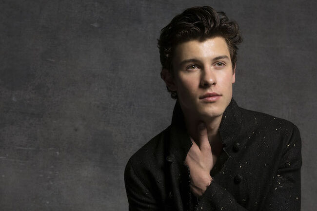 Shawn Mendes Shares Vulnerable New Song In My Blood Most - music kesha tik tok roblox