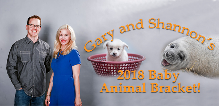 Gary and Shannon's Baby Animal Bracket