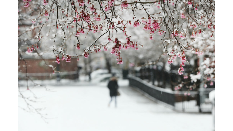 Spring Snow / Getty Images