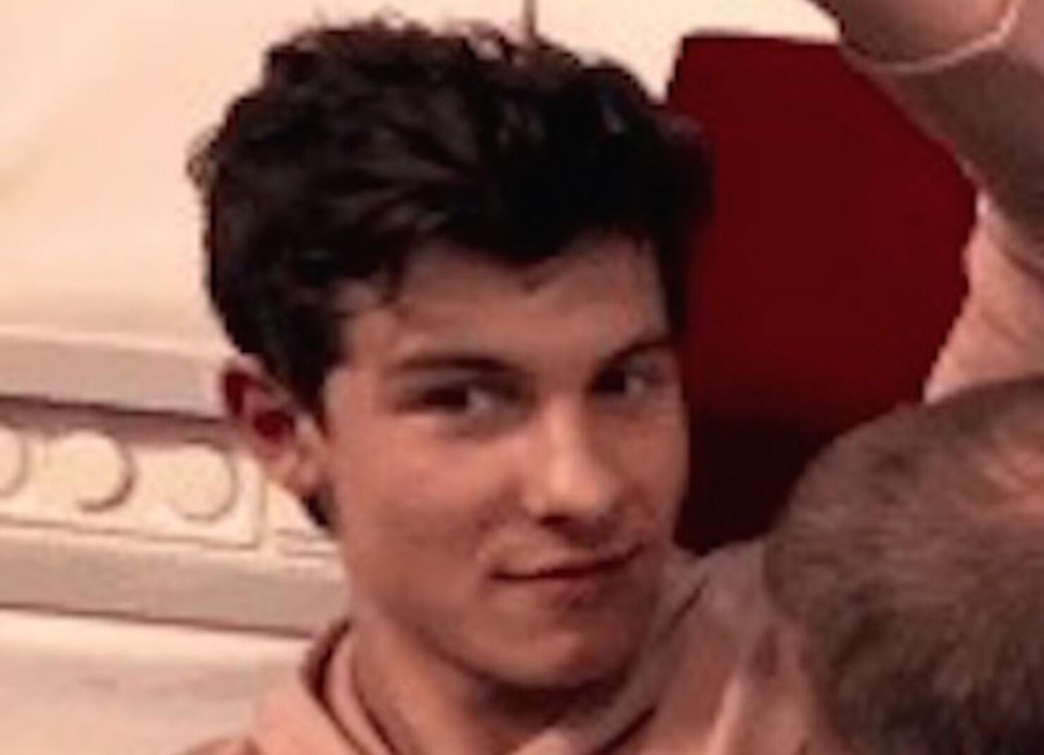 Shawn Mendes gets his armpit sniffed
