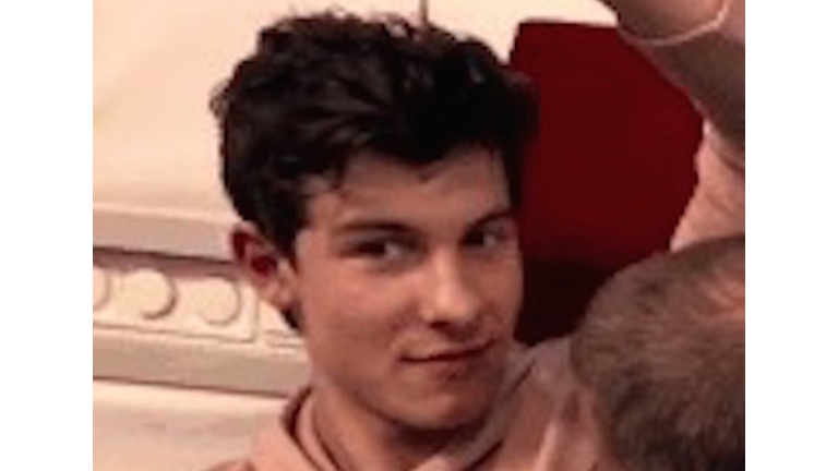 Shawn Mendes gets his armpit sniffed