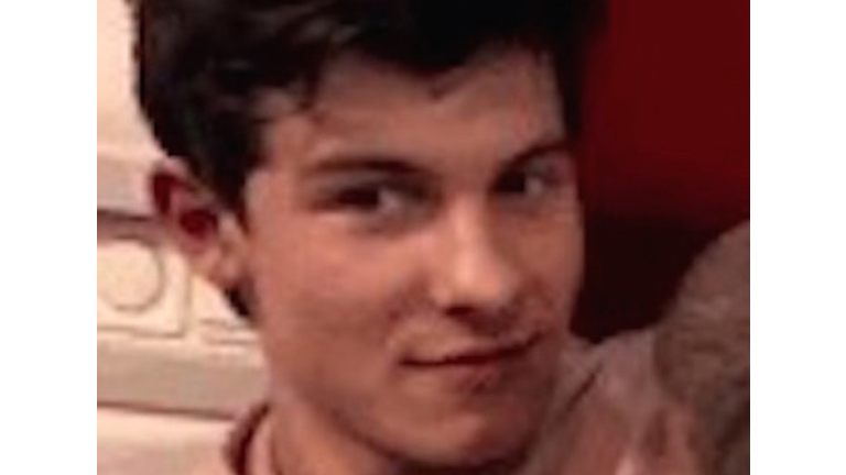 Shawn Mendes gets his armpit sniffed