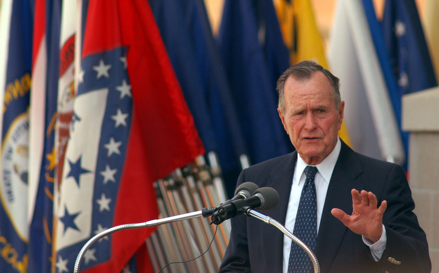 Bush 41