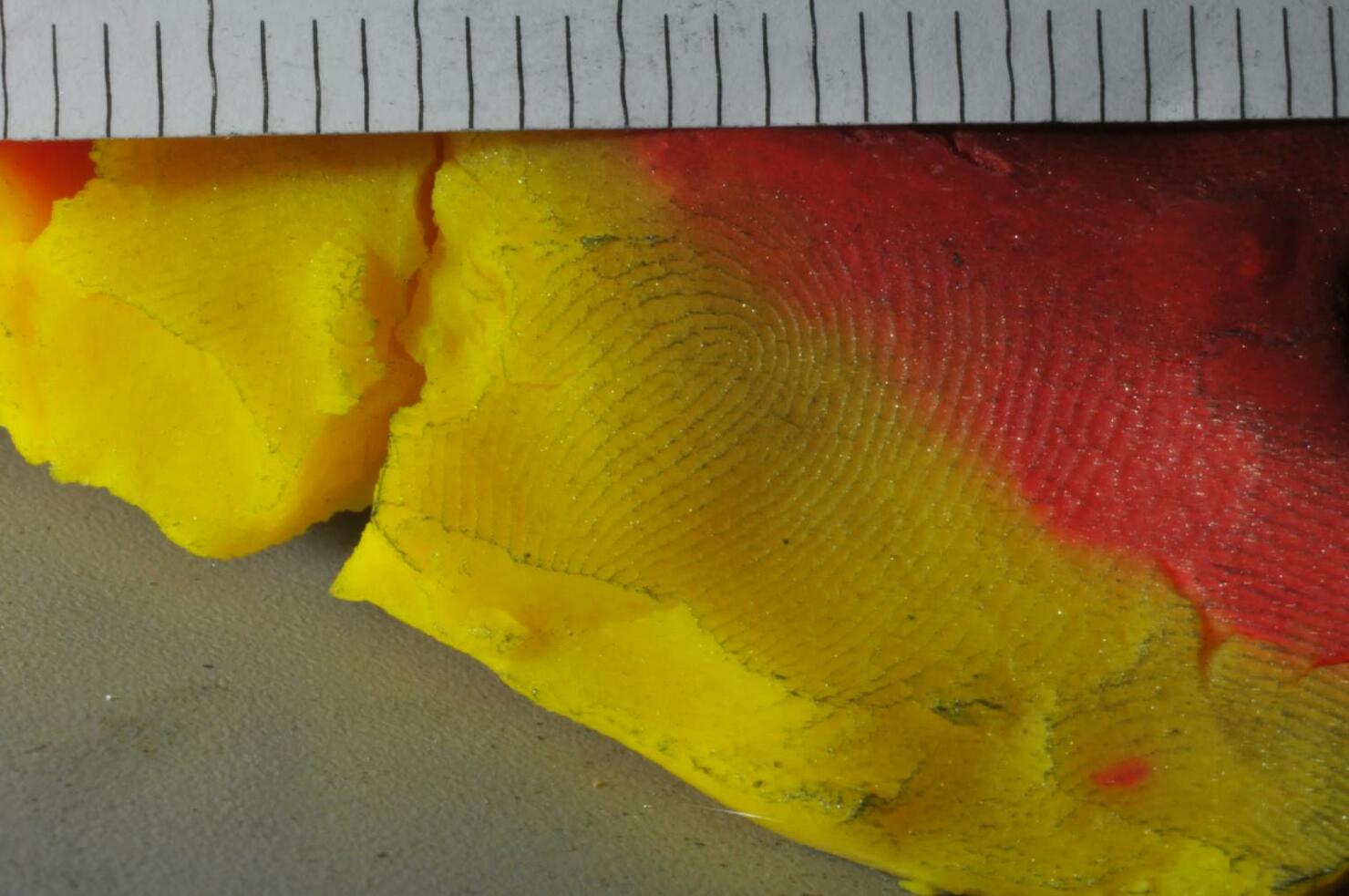 Massachusettes Police match fingerprint left in Play-Doh
