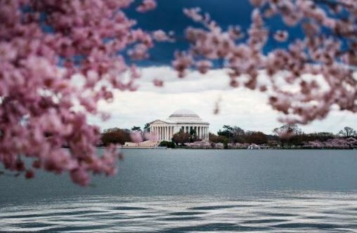 Washington DC/Getty Images