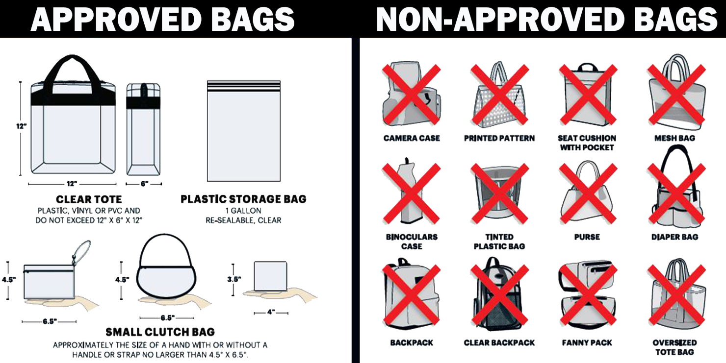 Taylor Swift bag policy: What you can and cannot bring to Detroit