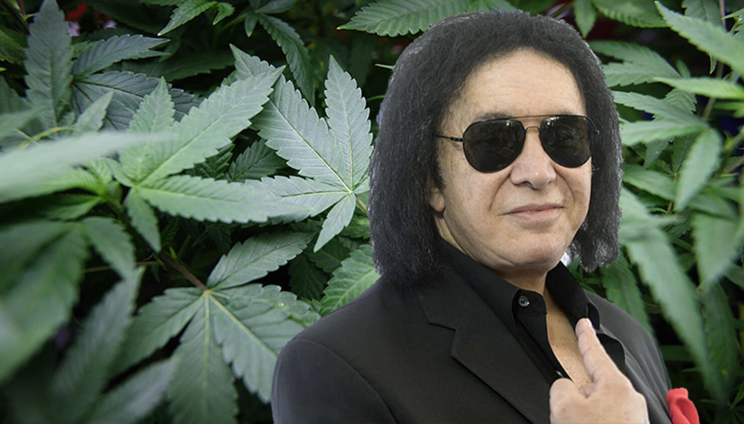 Gene Simmons Couldn't Believe the Medicinal Benefits of Cannabis