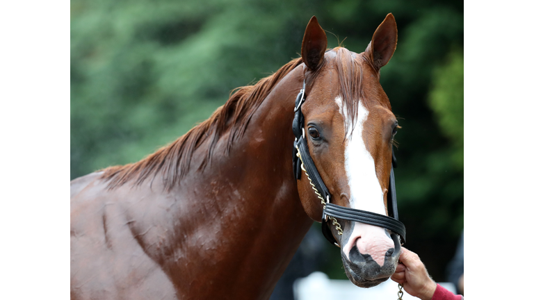 Justify