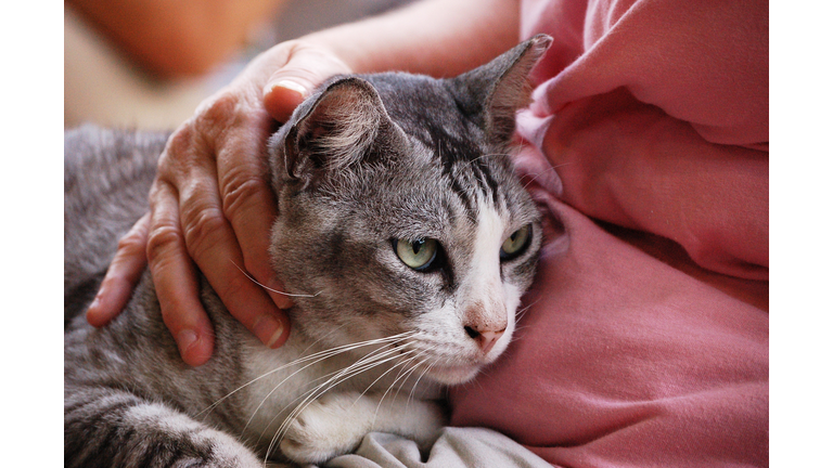 Cat Getty RF