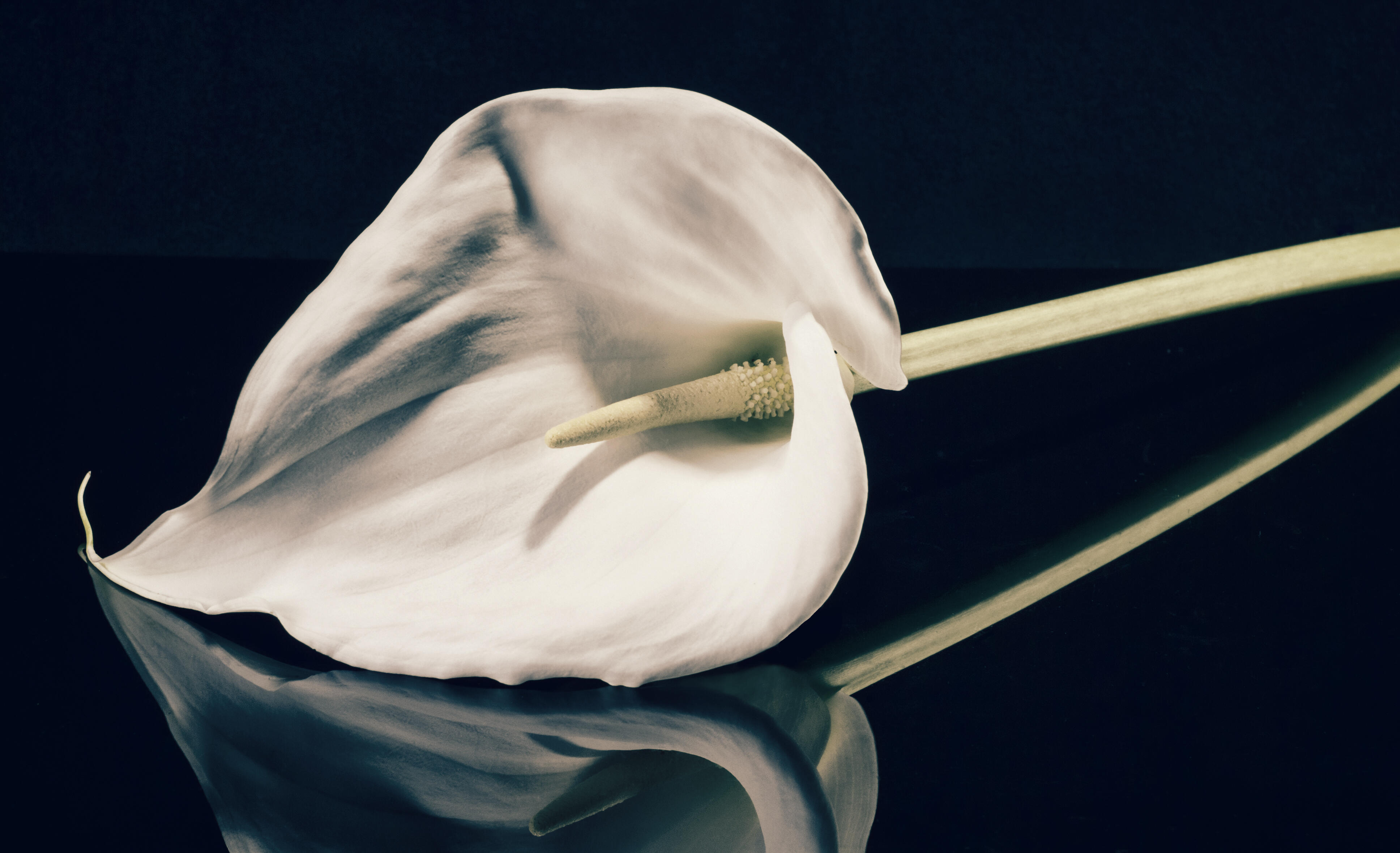 Minnesota Woman's Dirty Laundry Aired in Obituary - Thumbnail Image