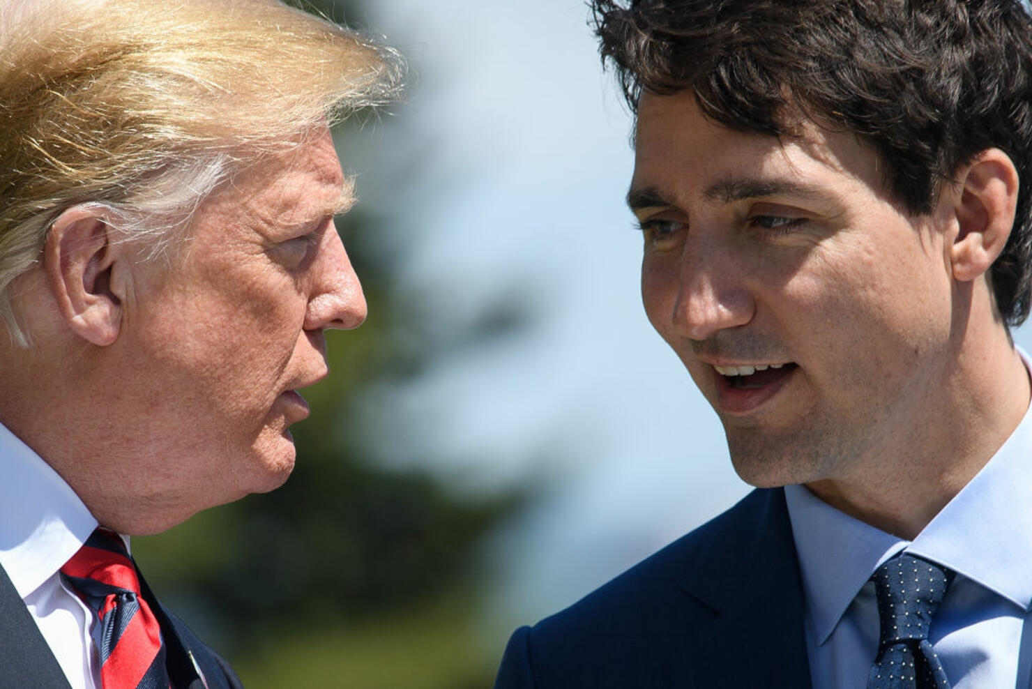 Justin Trudeau's Eyebrows...