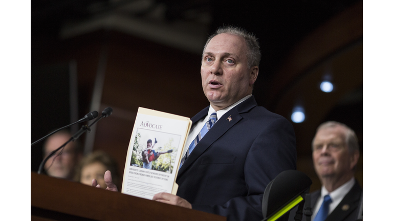 Steve Scalise Getty Images