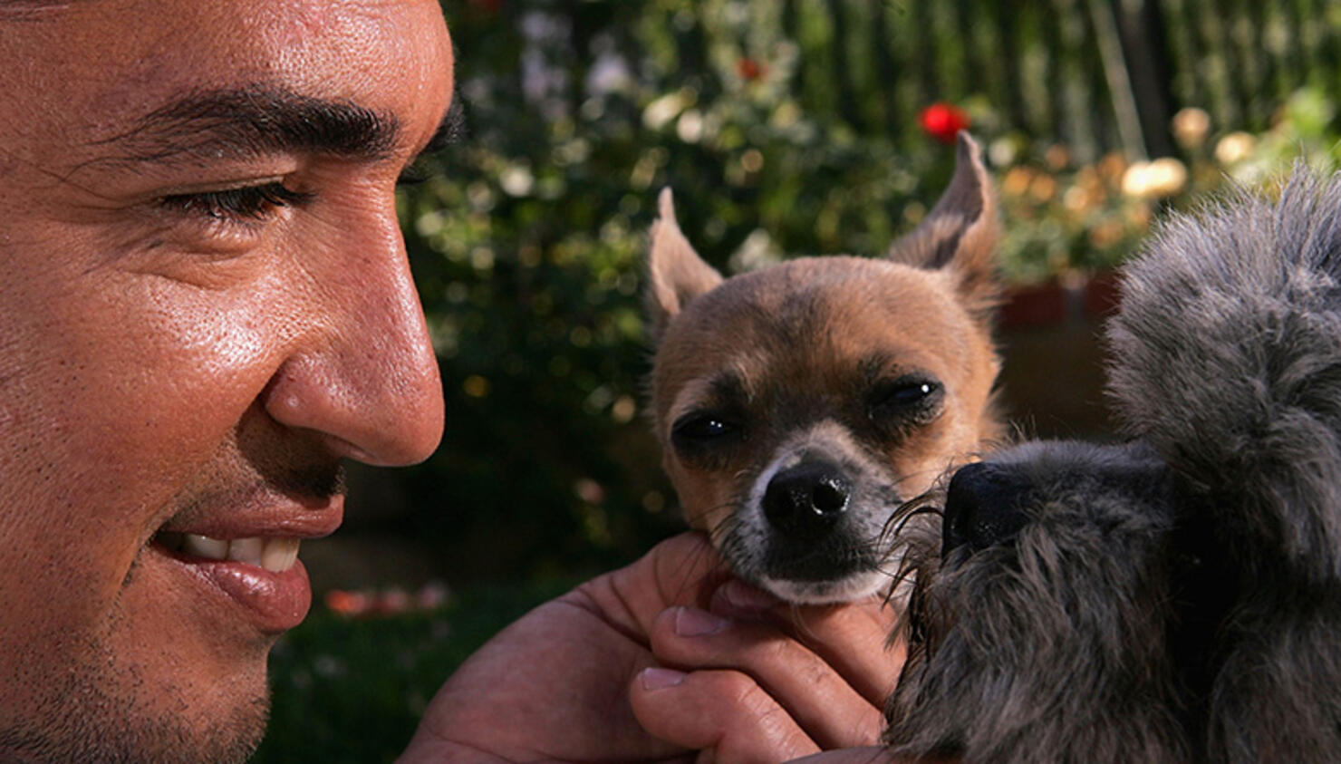 Cesar Milan Details How People Confuse Their Dogs