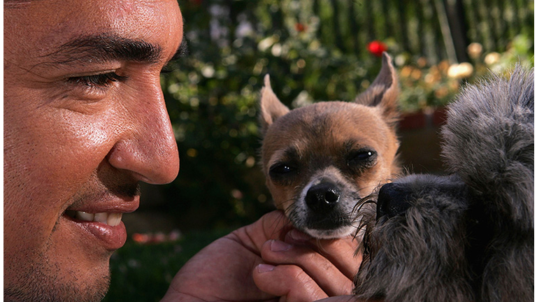 Cesar Milan Details How People Confuse Their Dogs