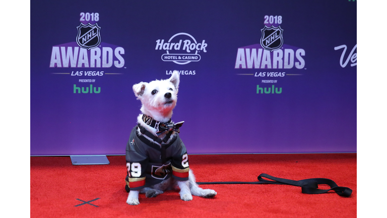 NHL Awards