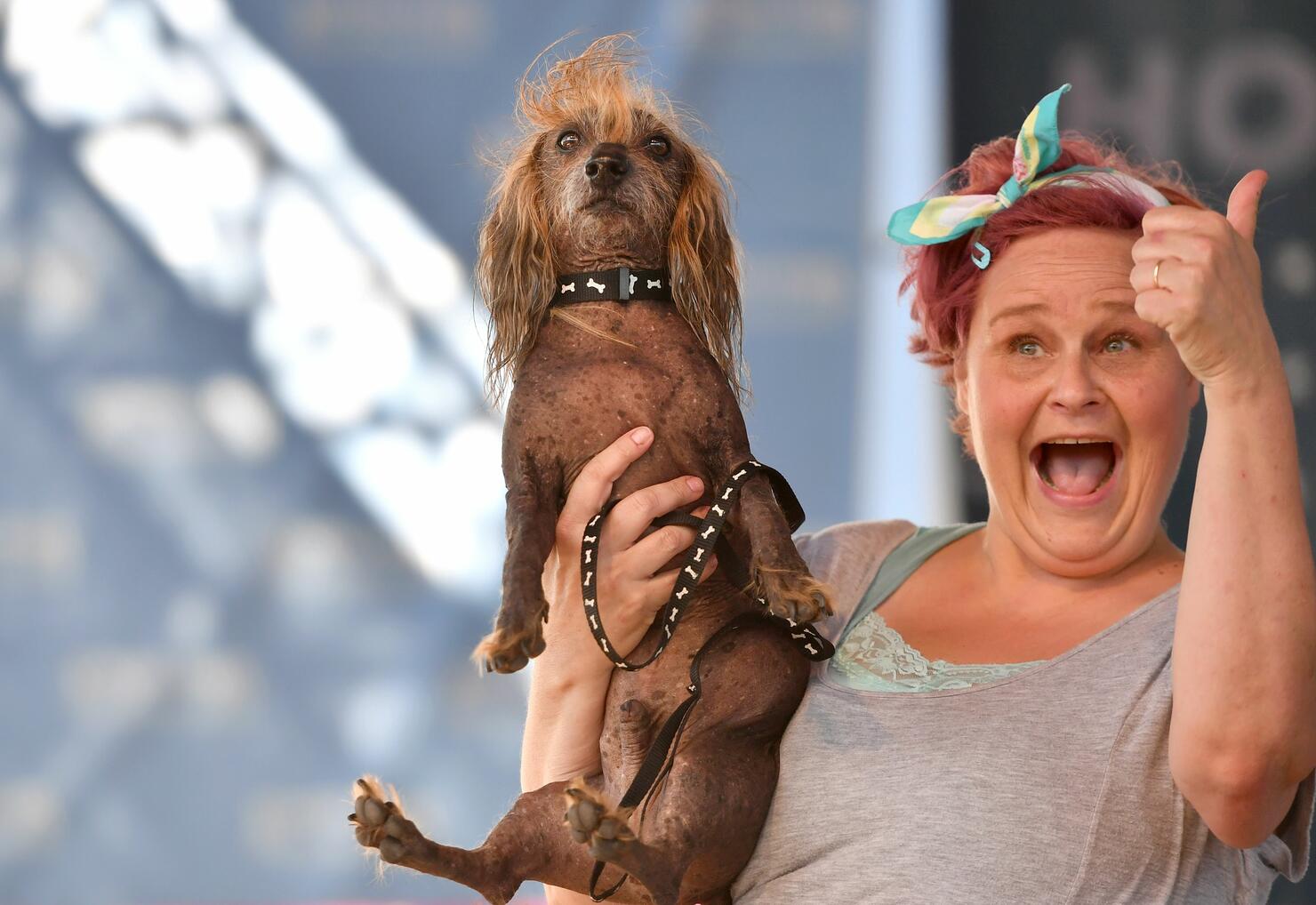Ugly dog 1