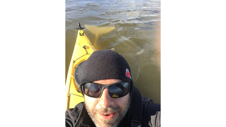 Matt takes selfies with beluga whales