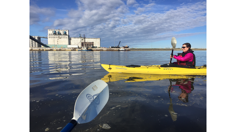 Sarah has no idea how many whales are following her