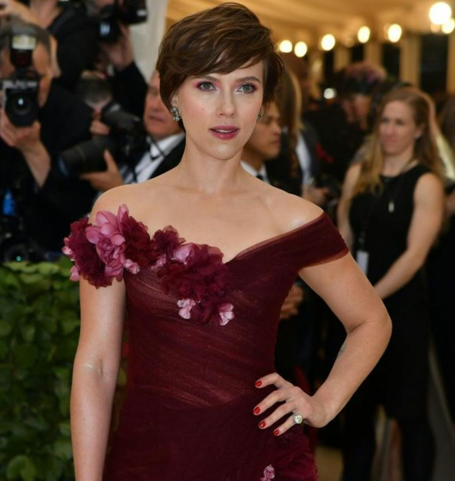 Scarlett Johansson Drops Out Of Rub And Tug Transgender Role Following