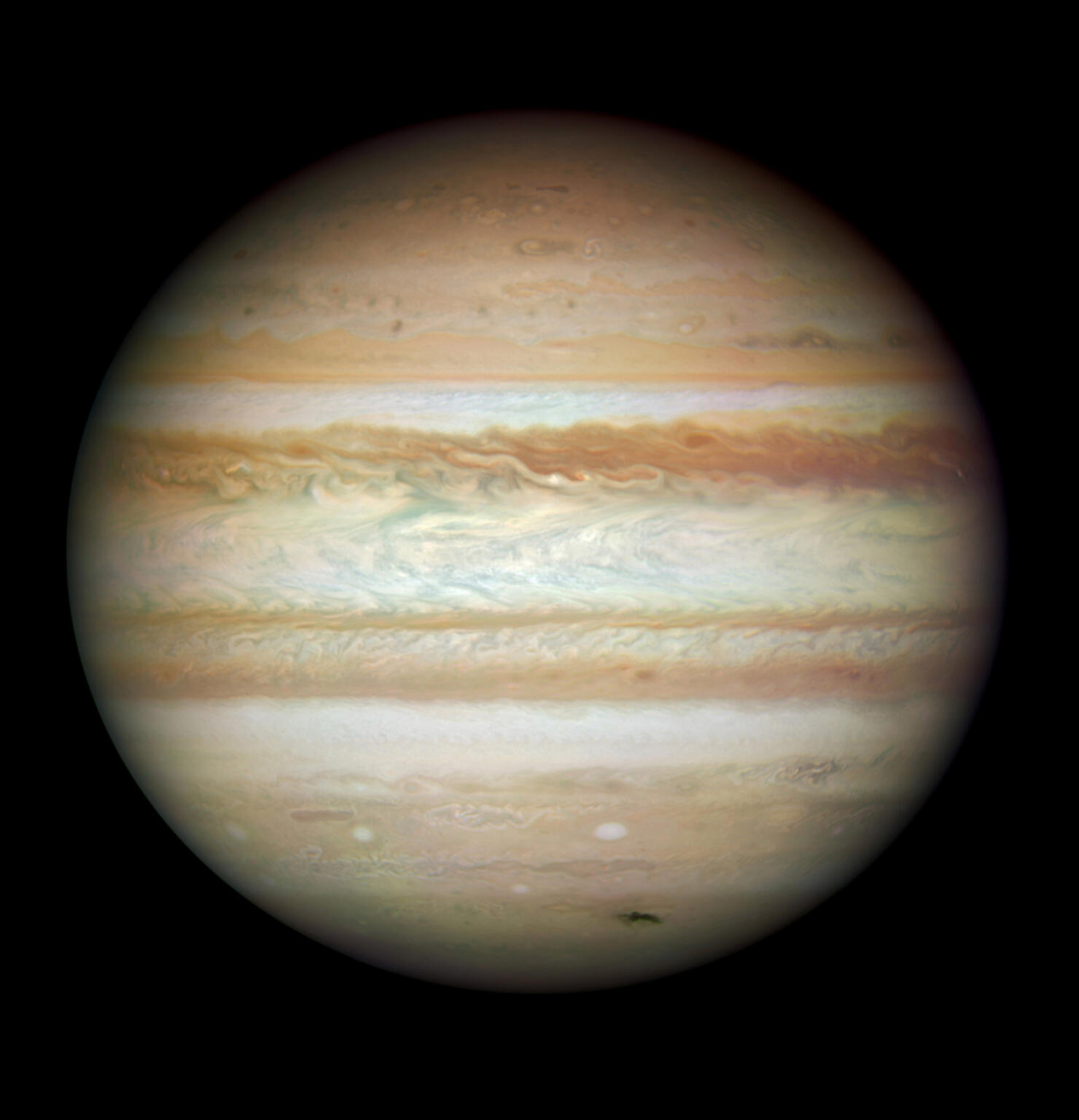 12 new moons found orbiting Jupiter