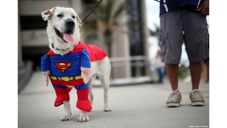 Comic-Con Costumes