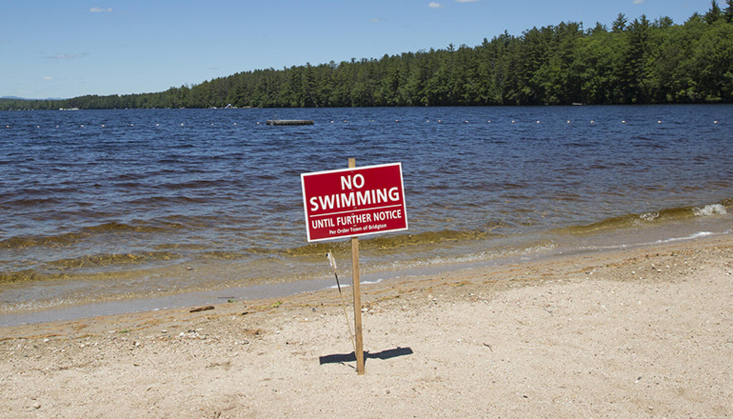Wood Pond Beach