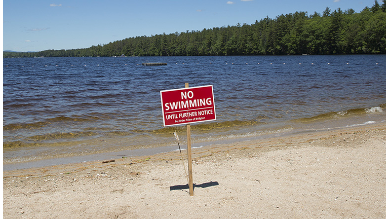 Wood Pond Beach