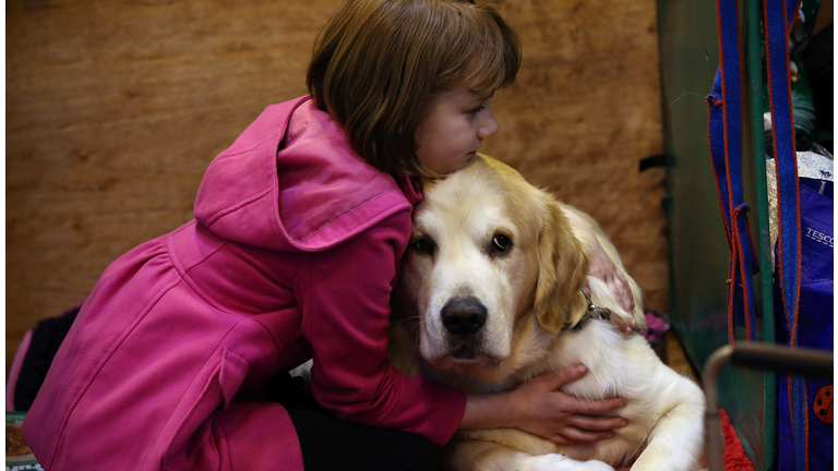 Dogs Intentionally Try to Cheer Up Upset Humans, Study Says