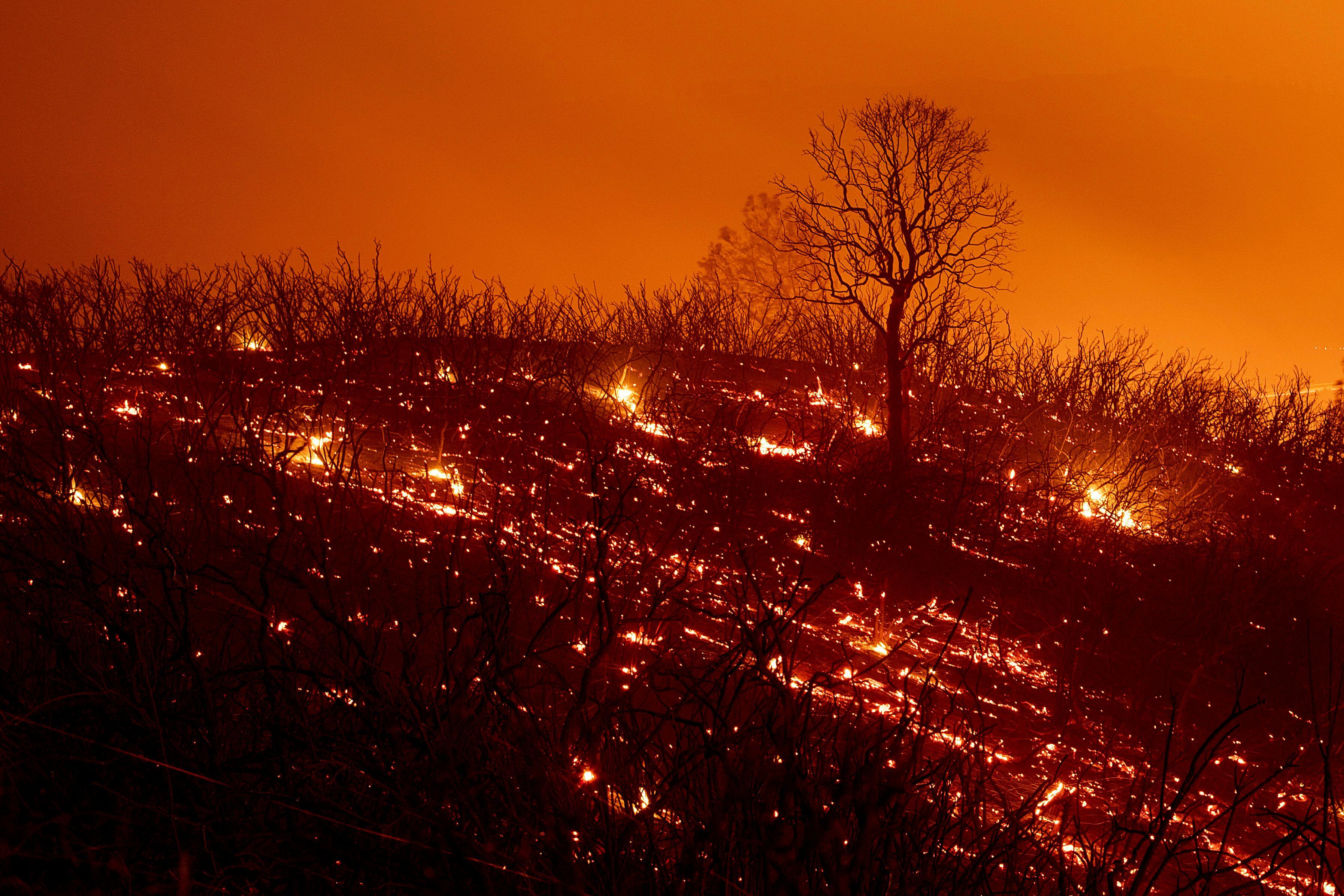 California Wildfire Explodes In Size, Becomes Largest In State History ...