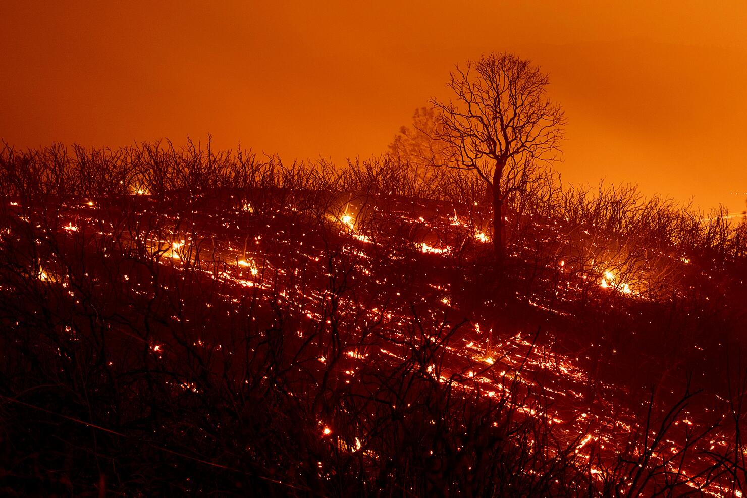 California Wildfire Explodes In Size Becomes Largest In State History Iheart 