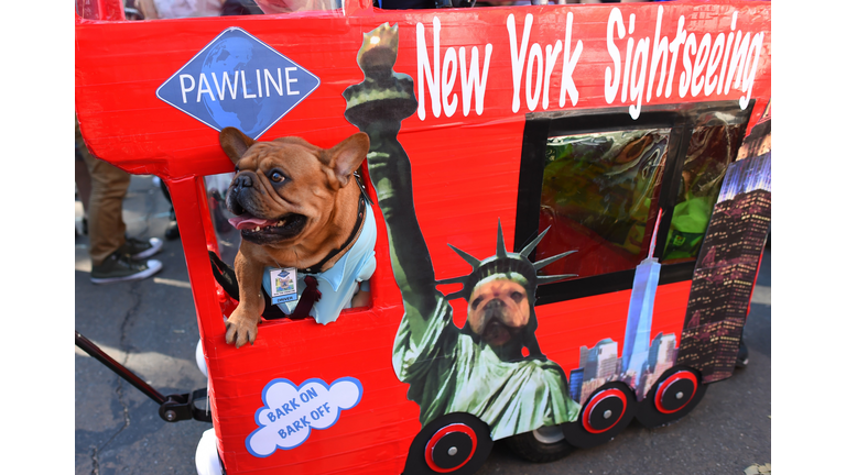 Tompkins Square Halloween Dog Parade