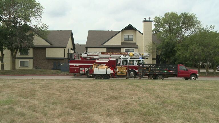 Two-year-old shoots self with father's gun at Clive hotel. WHO TV