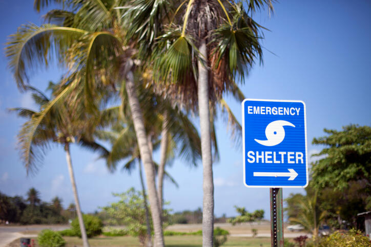 SHELTERS - Thumbnail Image