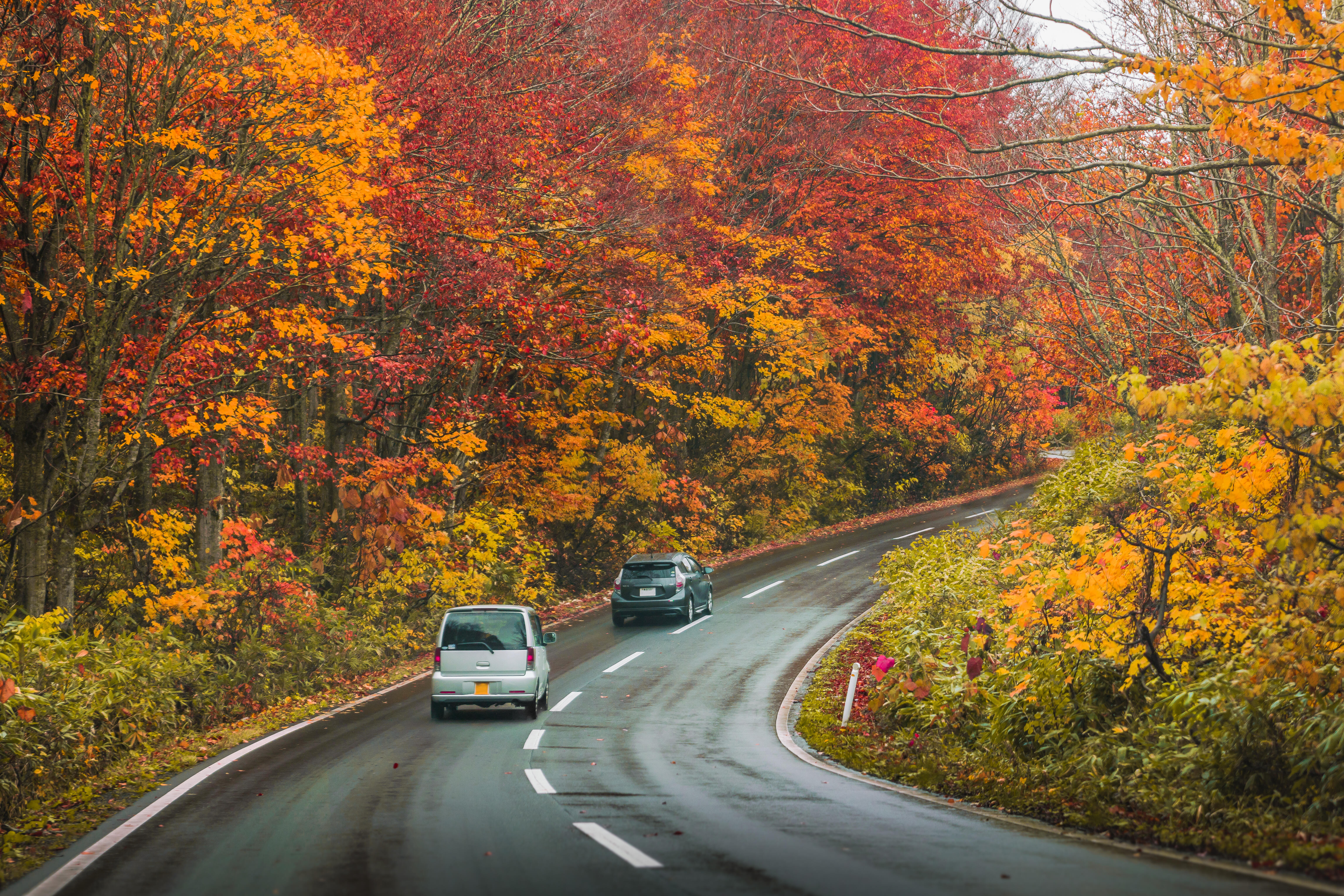 These Are Minnesota's Six Prettiest Fall Drives - Thumbnail Image