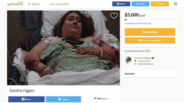 Riggin's GoFundMe page