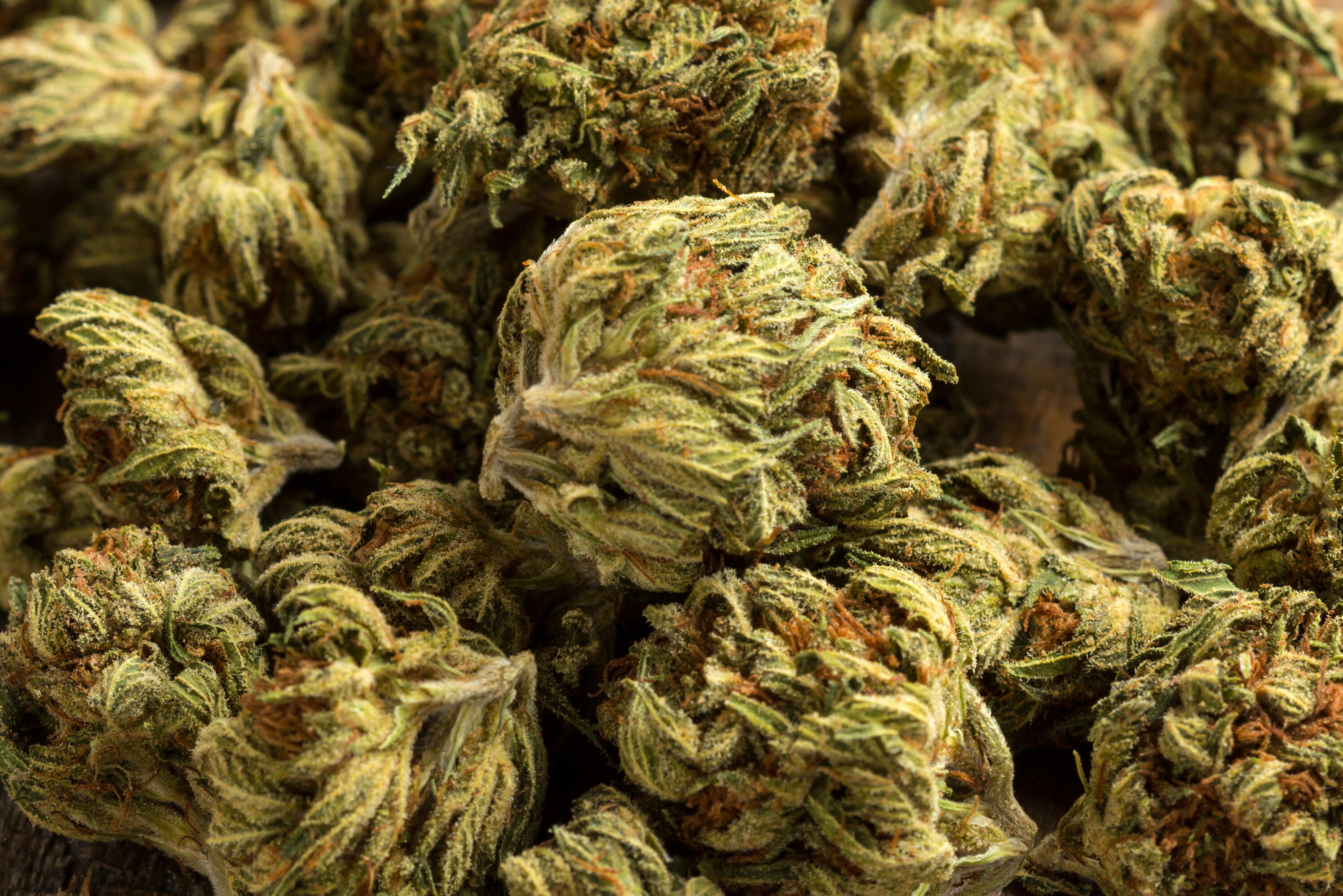 Twenty Bags of Marijuana Delivered to Radio Station - Thumbnail Image