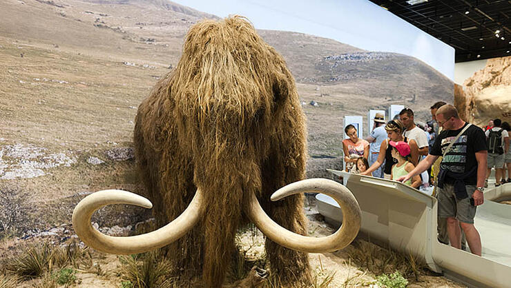 real life jurassic world park