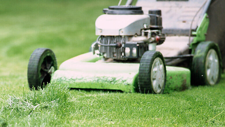 Naked Man Mowing The Lawn